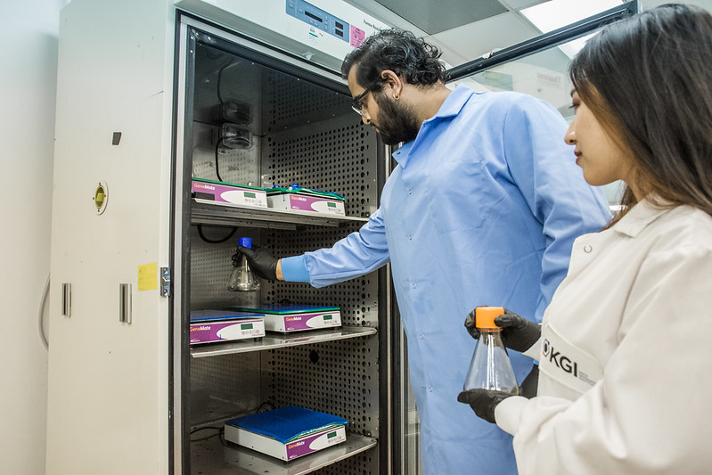Two people in a lab, organizing a supply cabinet